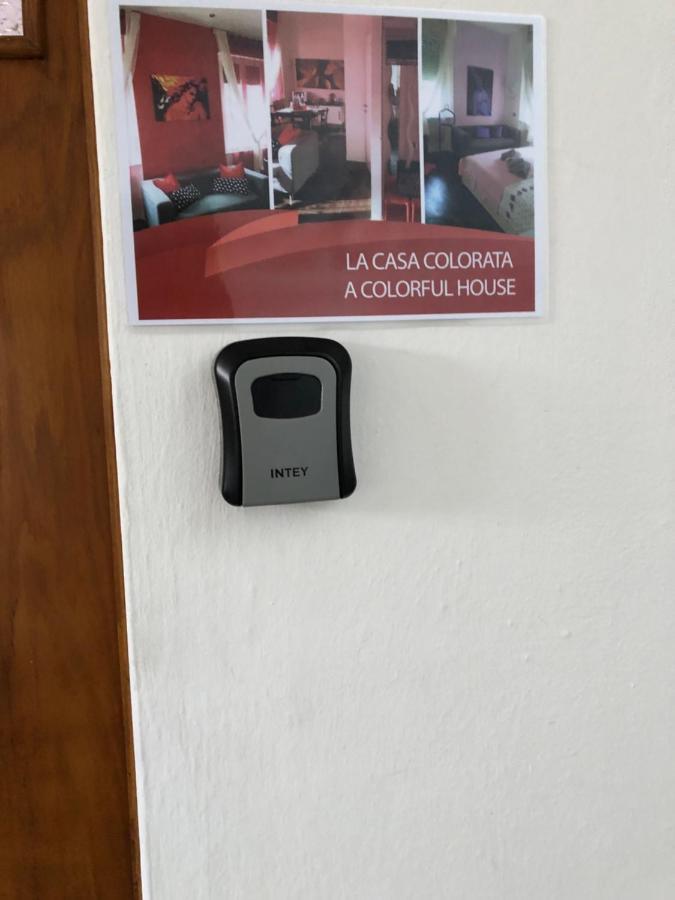 La Casa Colorata Apartment Pisa Exterior foto